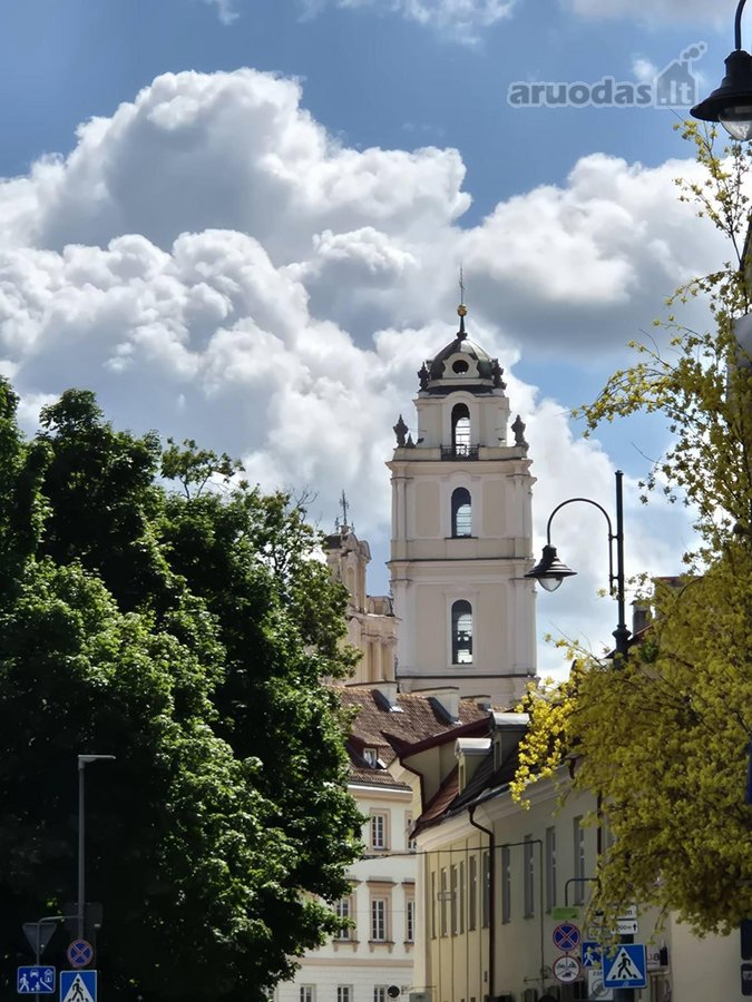 Nuomojamas Jaukus 2 Kambarių Butas Pačiame - nuotraukos Nr. 33