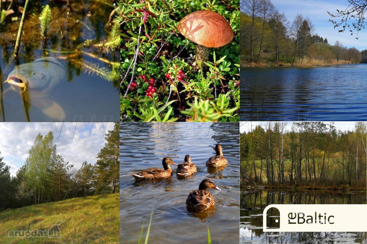 Parduodamas sklypas su vaizdais į Ilgių ežerą - nuotraukos Nr. 17
