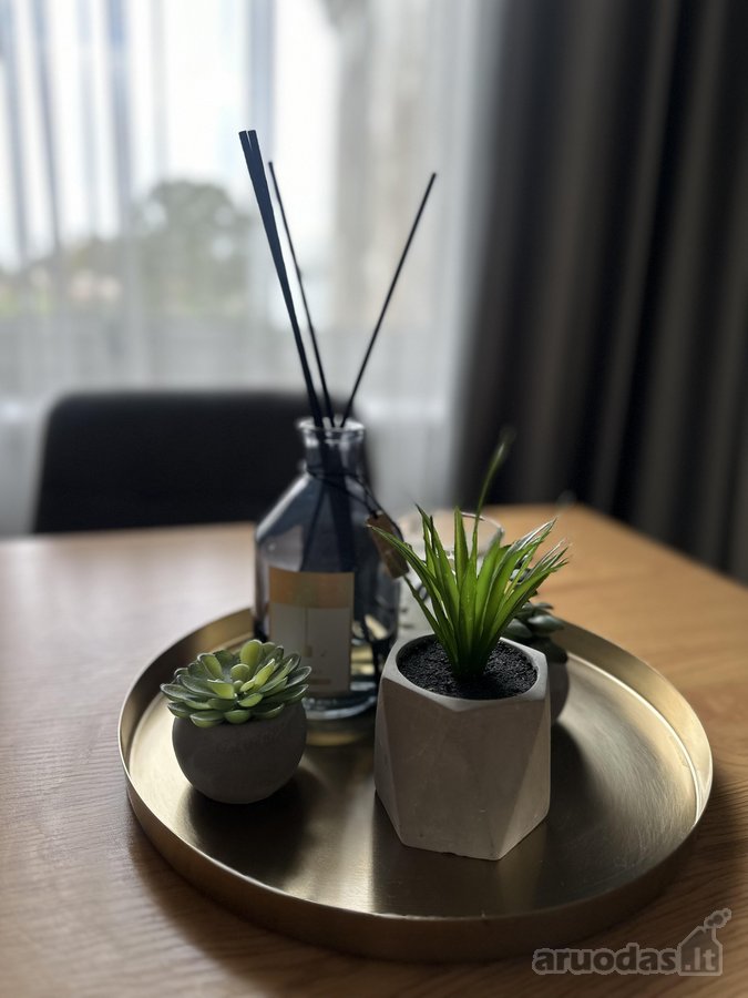 Jaukūs 2 Kambarių Apartamentai Žaliakalnyje  - nuotraukos Nr. 11