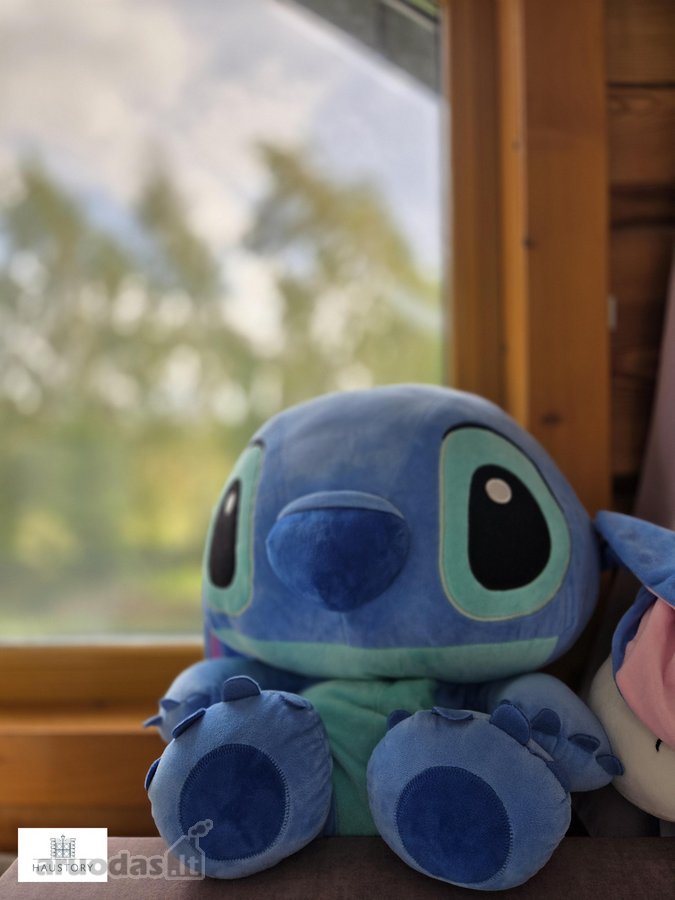 Išpuoselėti Rąstiniai Namai Gamtos Apsuptyje - nuotraukos Nr. 22