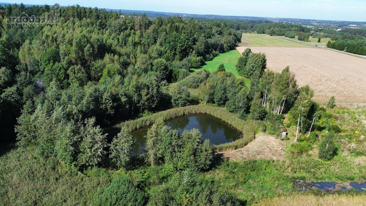 Parduodamas 1,49 ha sklypas Naujųjų - nuotraukos Nr. 2