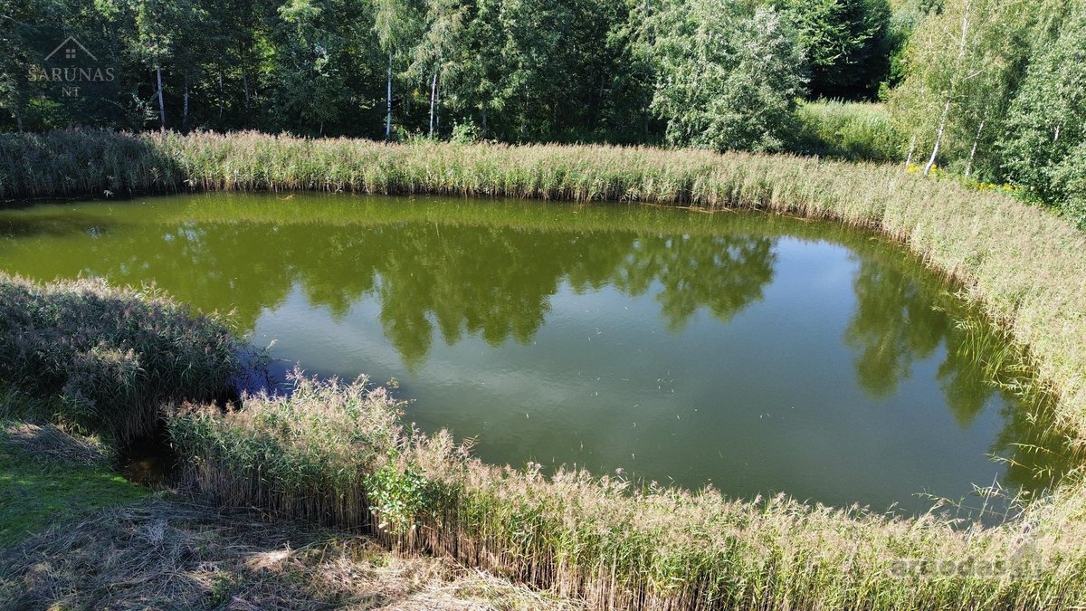Parduodamas 1,49 ha sklypas Naujųjų - nuotraukos Nr. 5