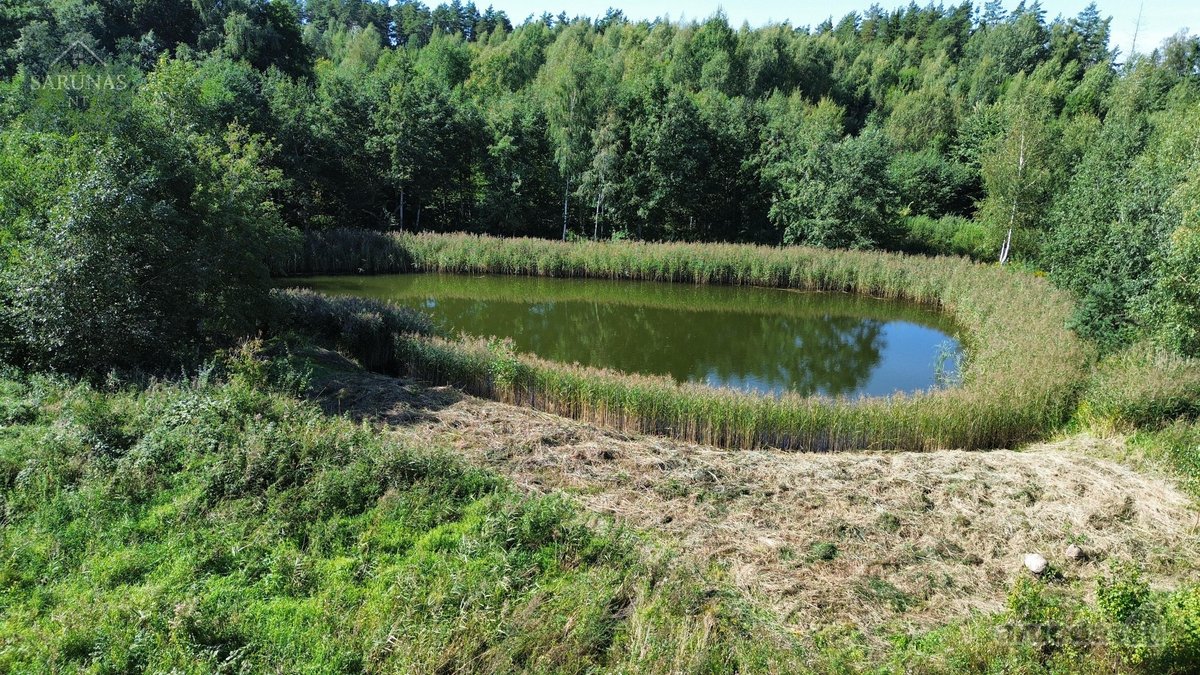 Parduodamas 1,49 ha sklypas Naujųjų - nuotraukos Nr. 6