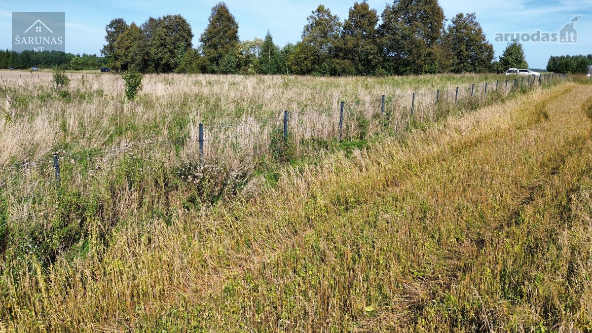 Parduodamas 1,49 ha sklypas Naujųjų - nuotraukos Nr. 7