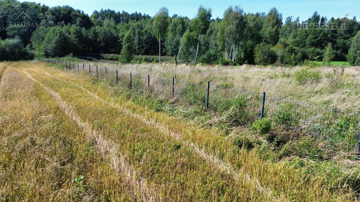 Parduodamas 1,49 ha sklypas Naujųjų - nuotraukos Nr. 8