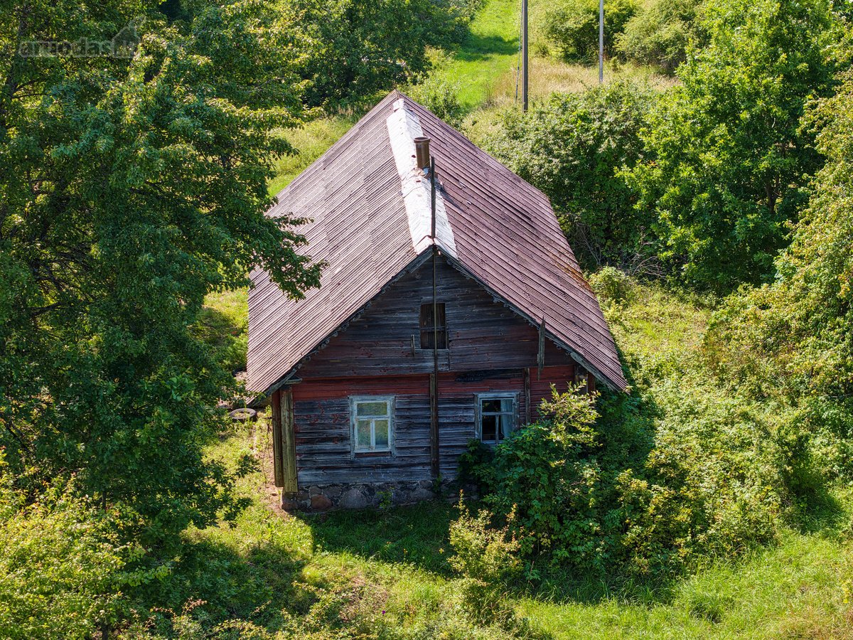 Pušyno apsuptyje, ant aukštos kalvos - nuotraukos Nr. 3