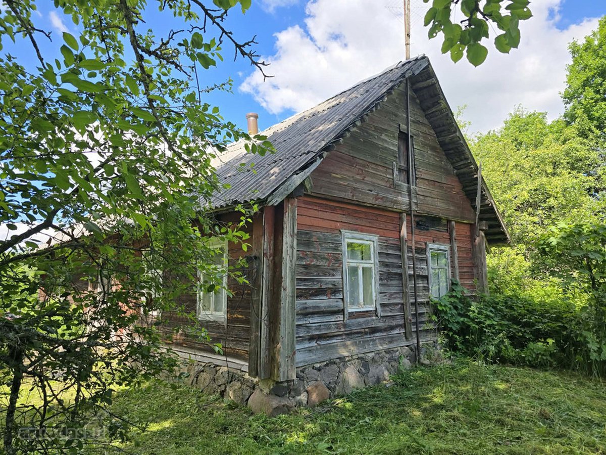 Pušyno apsuptyje, ant aukštos kalvos - nuotraukos Nr. 4