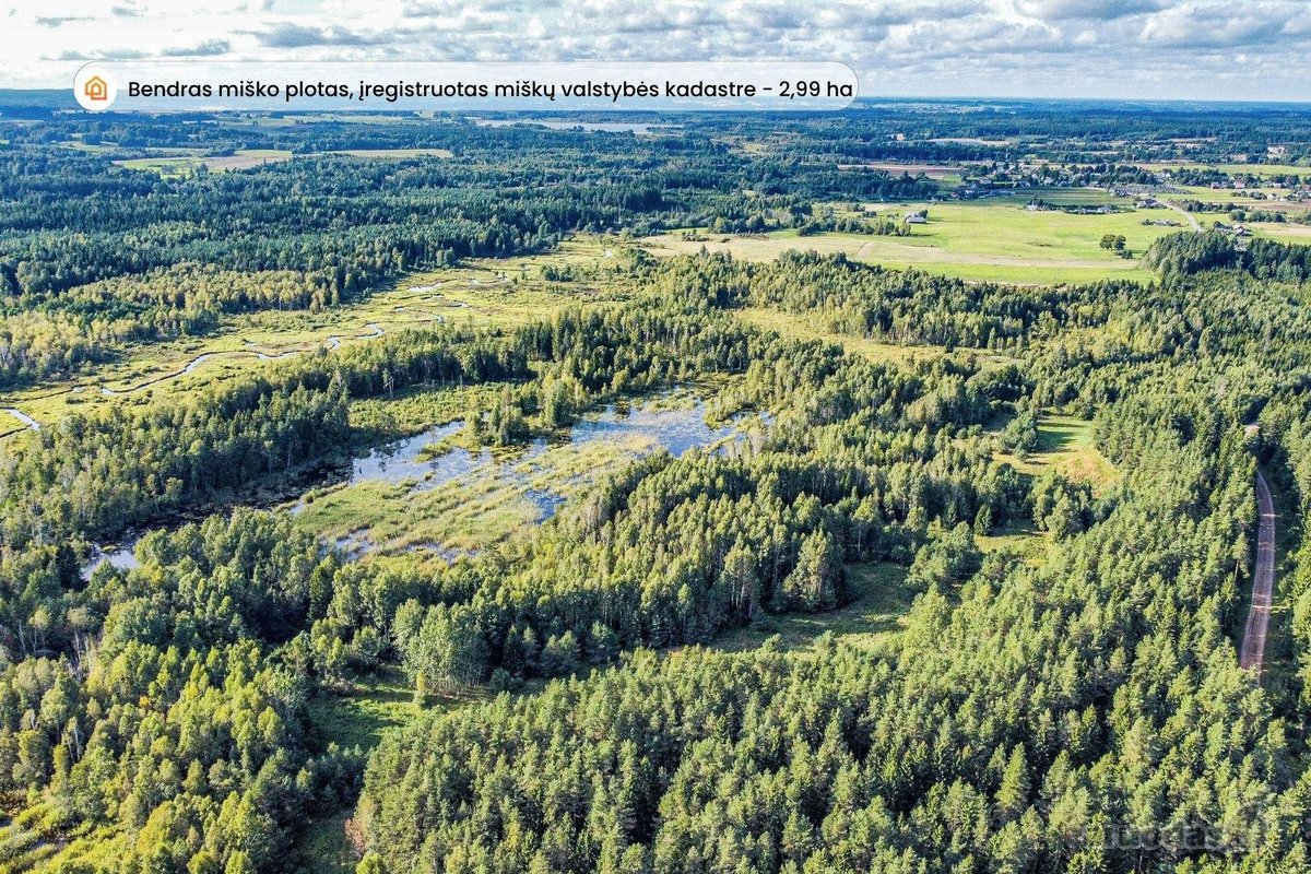 Parduodami du 11,61 ha bendro ploto sklypai - nuotraukos Nr. 4