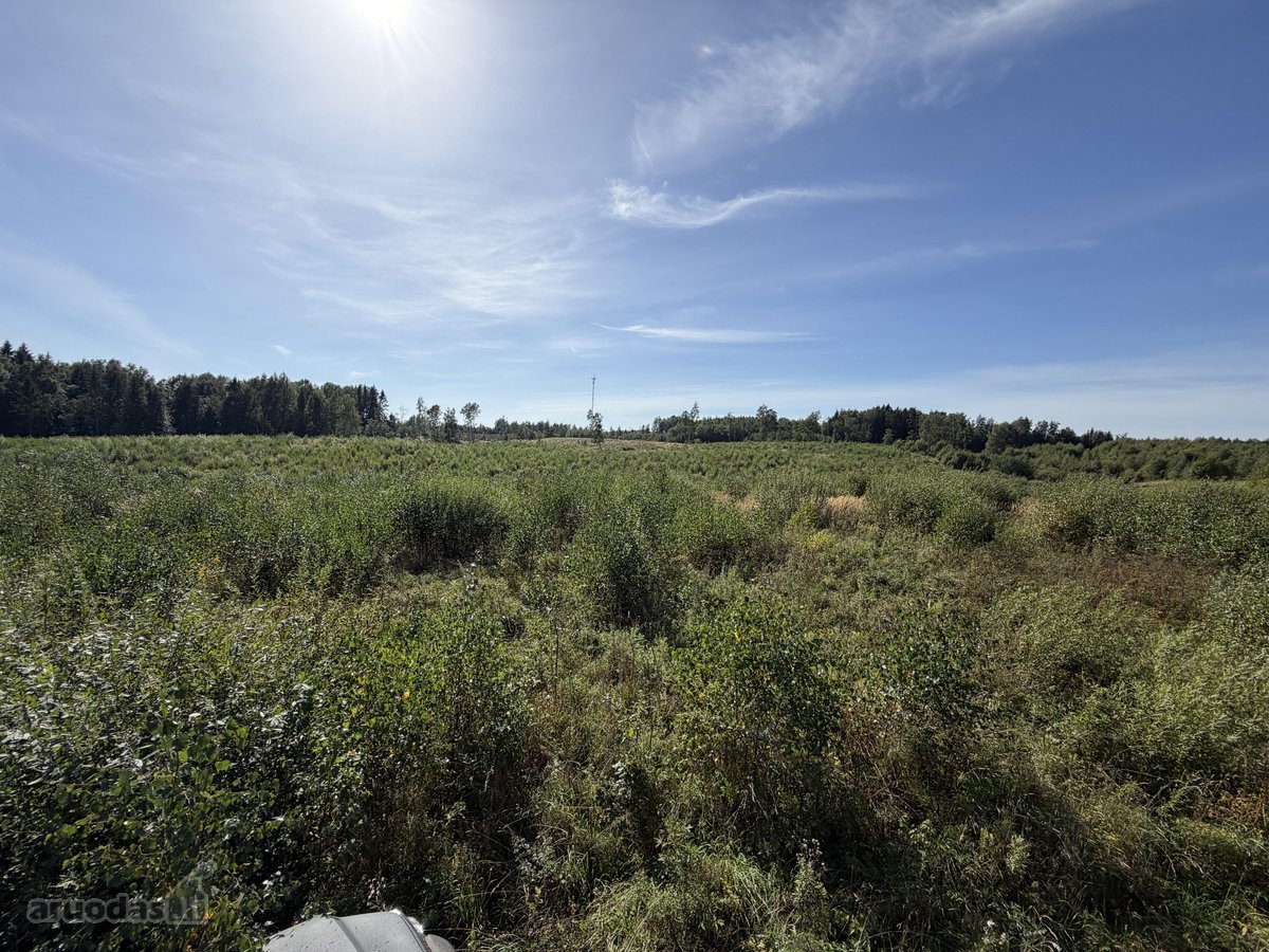 Parduodamas žemės sklypas, taisiklingos - nuotraukos Nr. 2