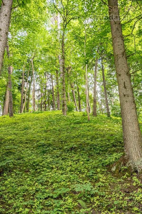 Ramybė, privatumas ir gamta – tai šių namų - nuotraukos Nr. 5
