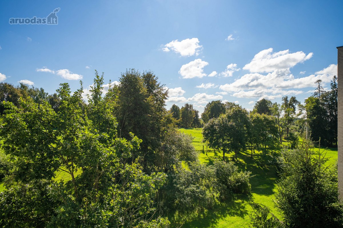 Parduodamas Erdvus 2 Kambarių Butas Žalumos - nuotraukos Nr. 21