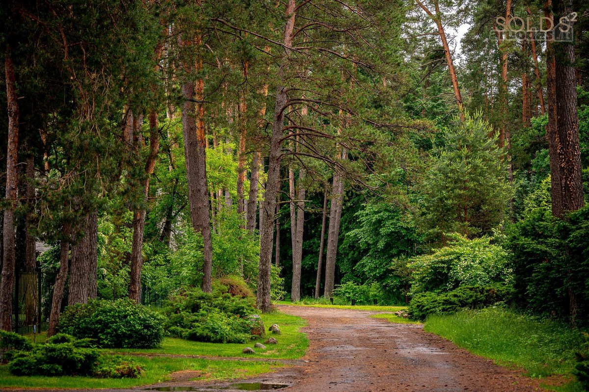 Darniai į gamtą įsiliejęs ir puikiai - nuotraukos Nr. 33