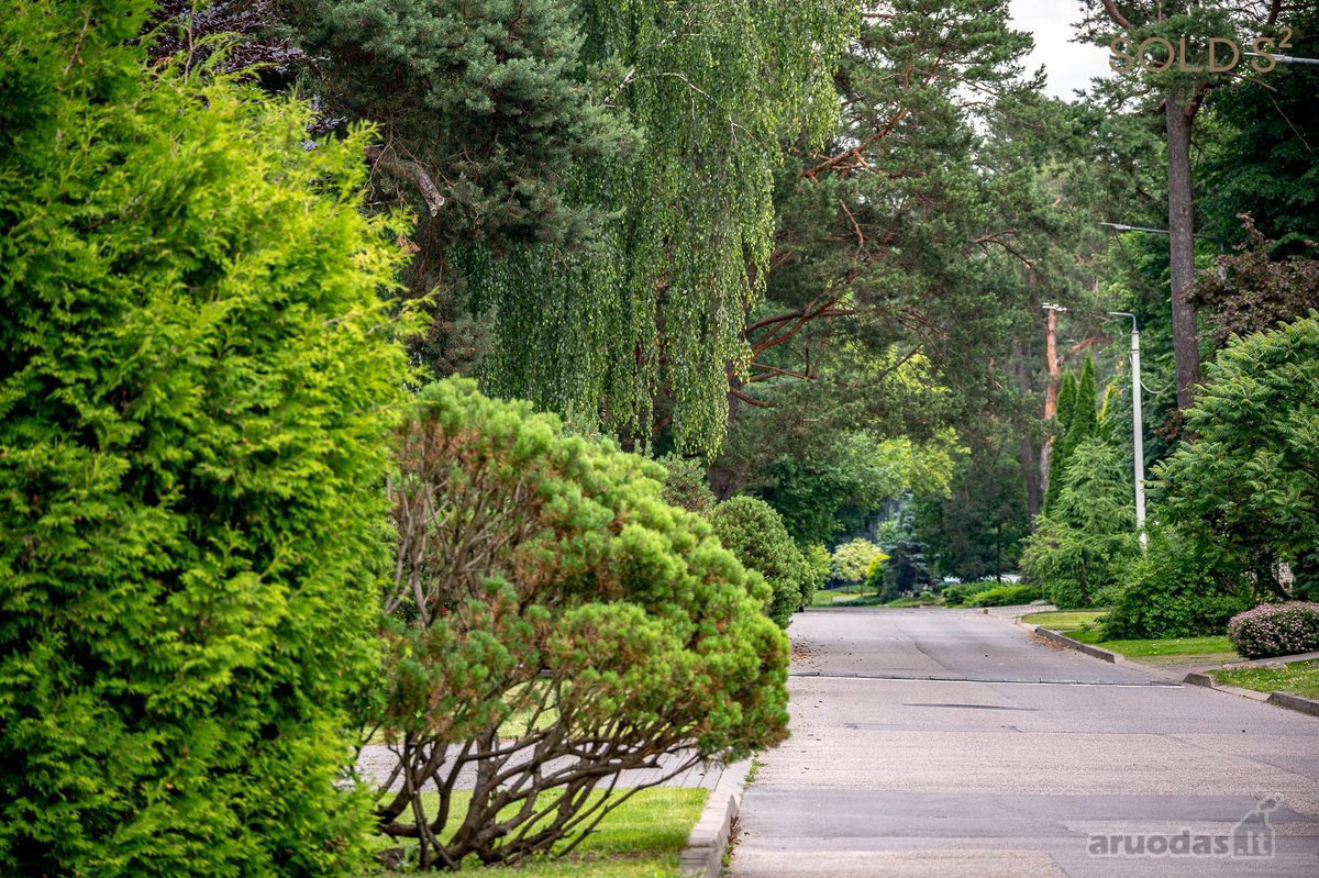 Darniai į gamtą įsiliejęs ir puikiai - nuotraukos Nr. 38