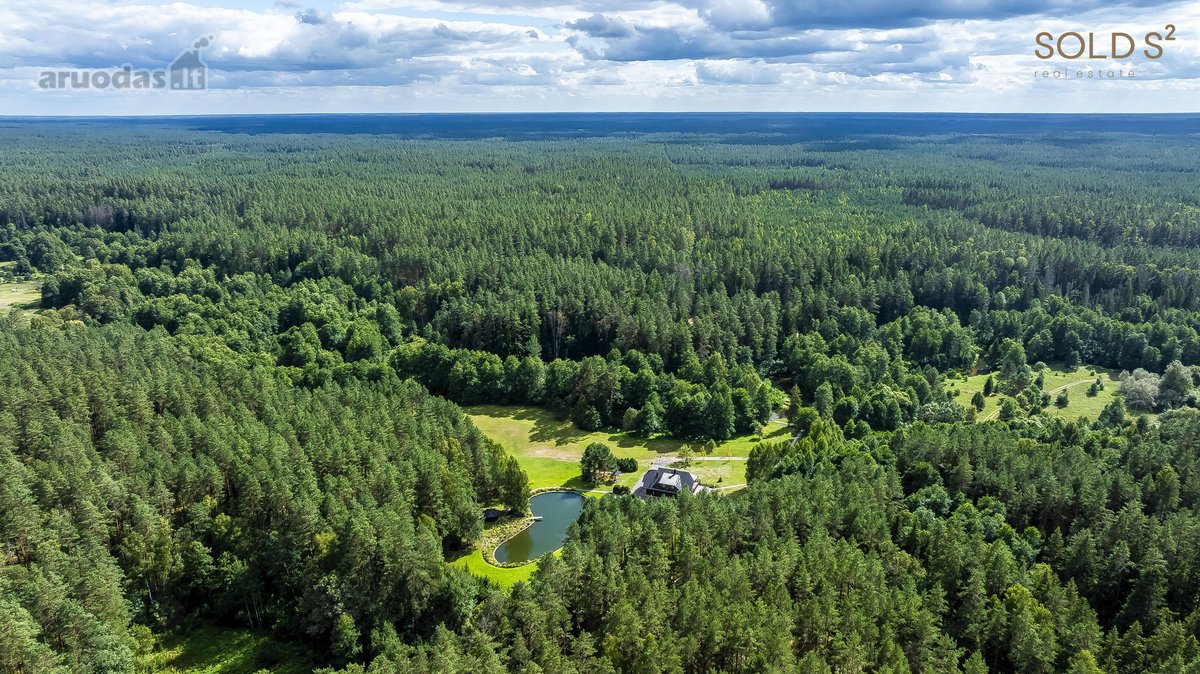 Tyliomis giriomis apgaubtoje Dzūkijoje, šalia - nuotraukos Nr. 2