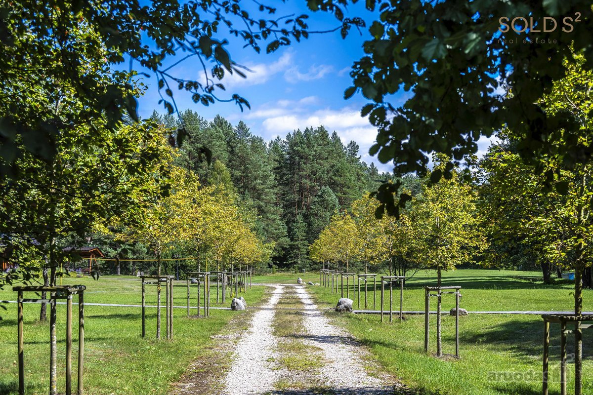 Tyliomis giriomis apgaubtoje Dzūkijoje, šalia - nuotraukos Nr. 32