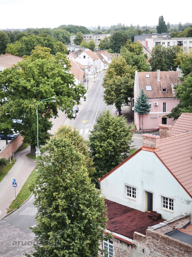 Išnuomojamas Stilingas 1 Kambario Butas - nuotraukos Nr. 13