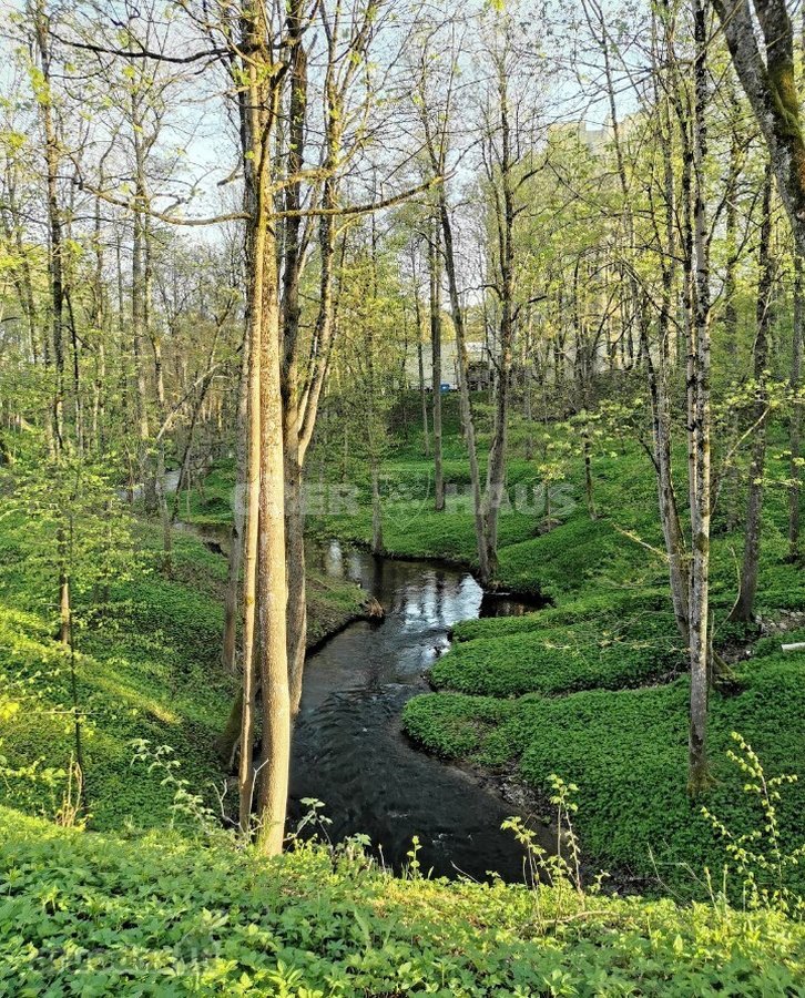 Gyventi ir poilsiauti Druskininkuose, reiškia - nuotraukos Nr. 30
