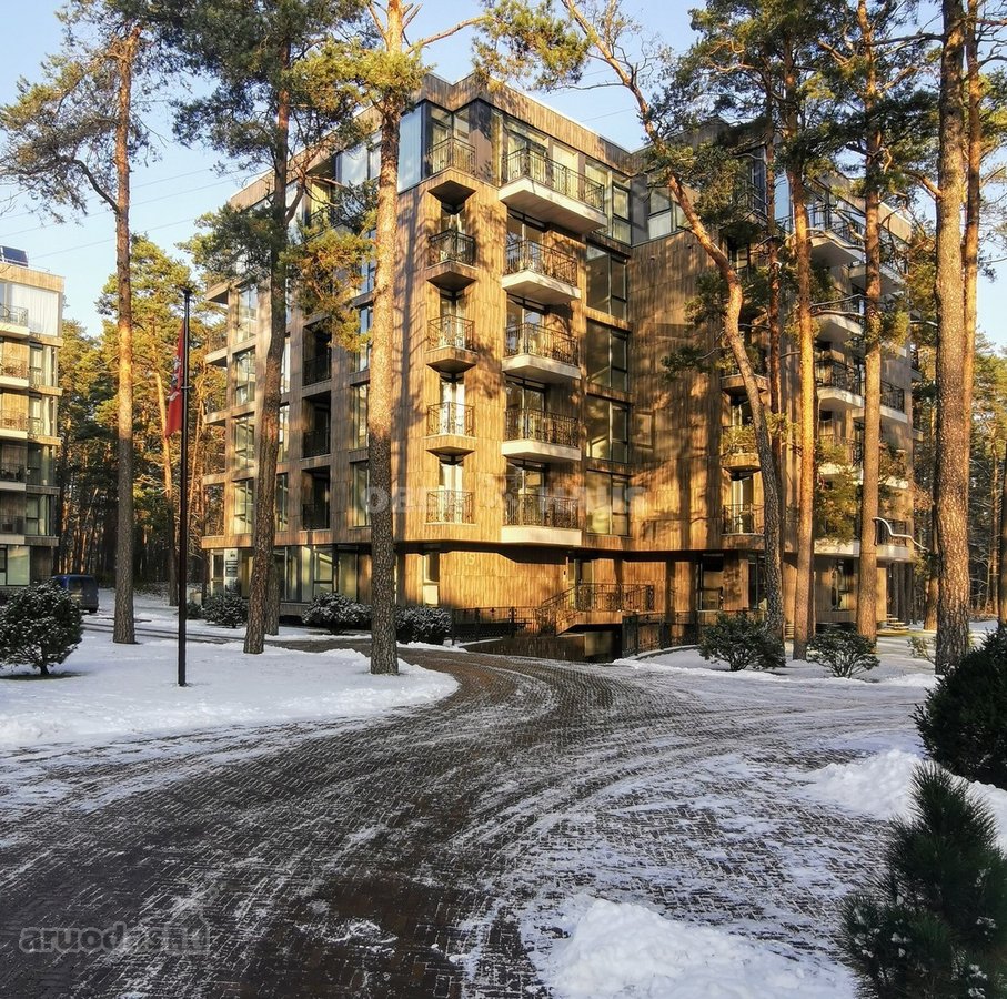 Gyventi ir poilsiauti Druskininkuose, reiškia - nuotraukos Nr. 35