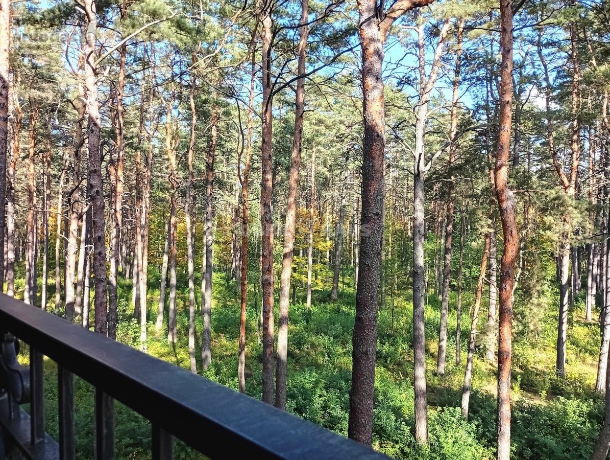 Gyventi ir poilsiauti Druskininkuose, reiškia - nuotraukos Nr. 37