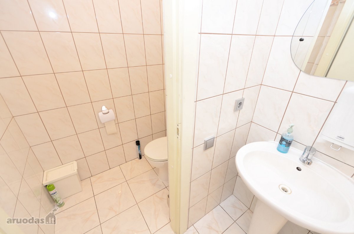 Palemone, Ateities pl. išnuomojamos naujais - nuotraukos Nr. 18