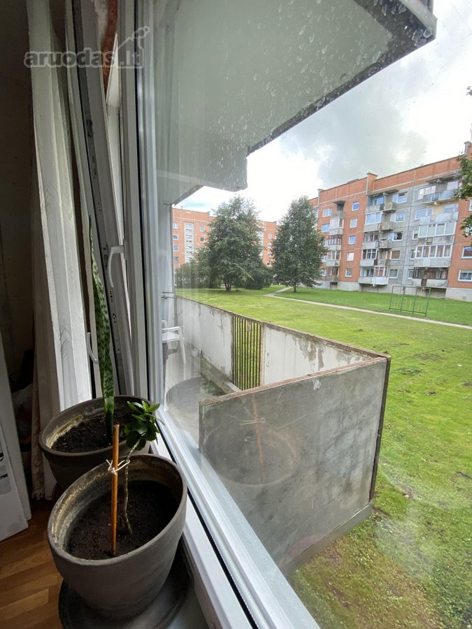 Parduodamas 3 Kambarių Butas Su Dideliu Holu - nuotraukos Nr. 10
