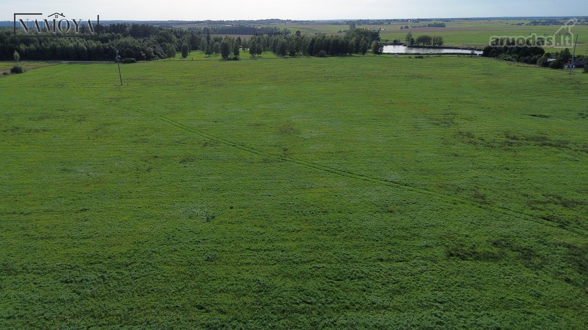Šalia Domeikavos Smiltynų 1k.undinės g. ant - nuotraukos Nr. 14