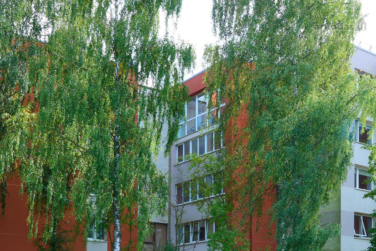 Rdvus 4 Kambarių Butas Renovuotame Name – - nuotraukos Nr. 30