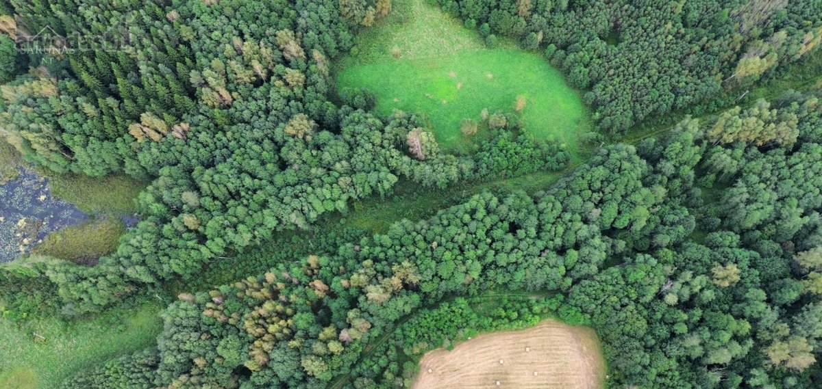 Parduodamas 2 Ha Žemės Sklypas Su Pakrante - nuotraukos Nr. 3