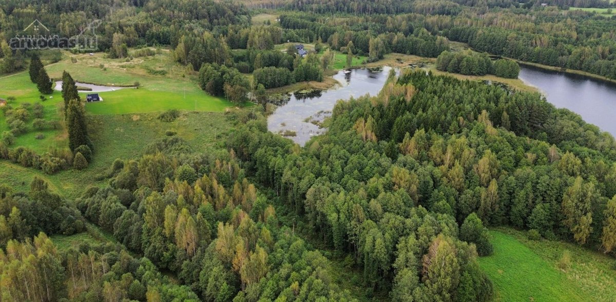 Parduodamas 2 Ha Žemės Sklypas Su Pakrante - nuotraukos Nr. 10