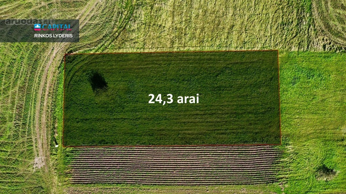 Parduodamas 24,30 Arų Sklypas Prie Žaleso - nuotraukos Nr. 3