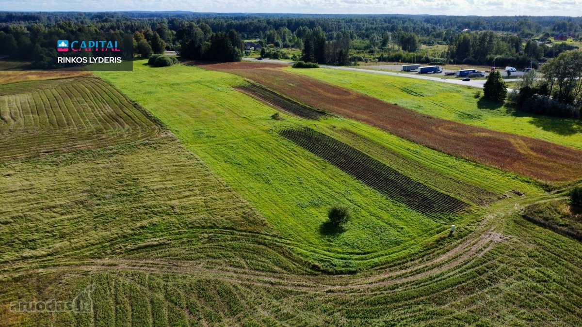 Parduodamas 24,30 Arų Sklypas Prie Žaleso - nuotraukos Nr. 7