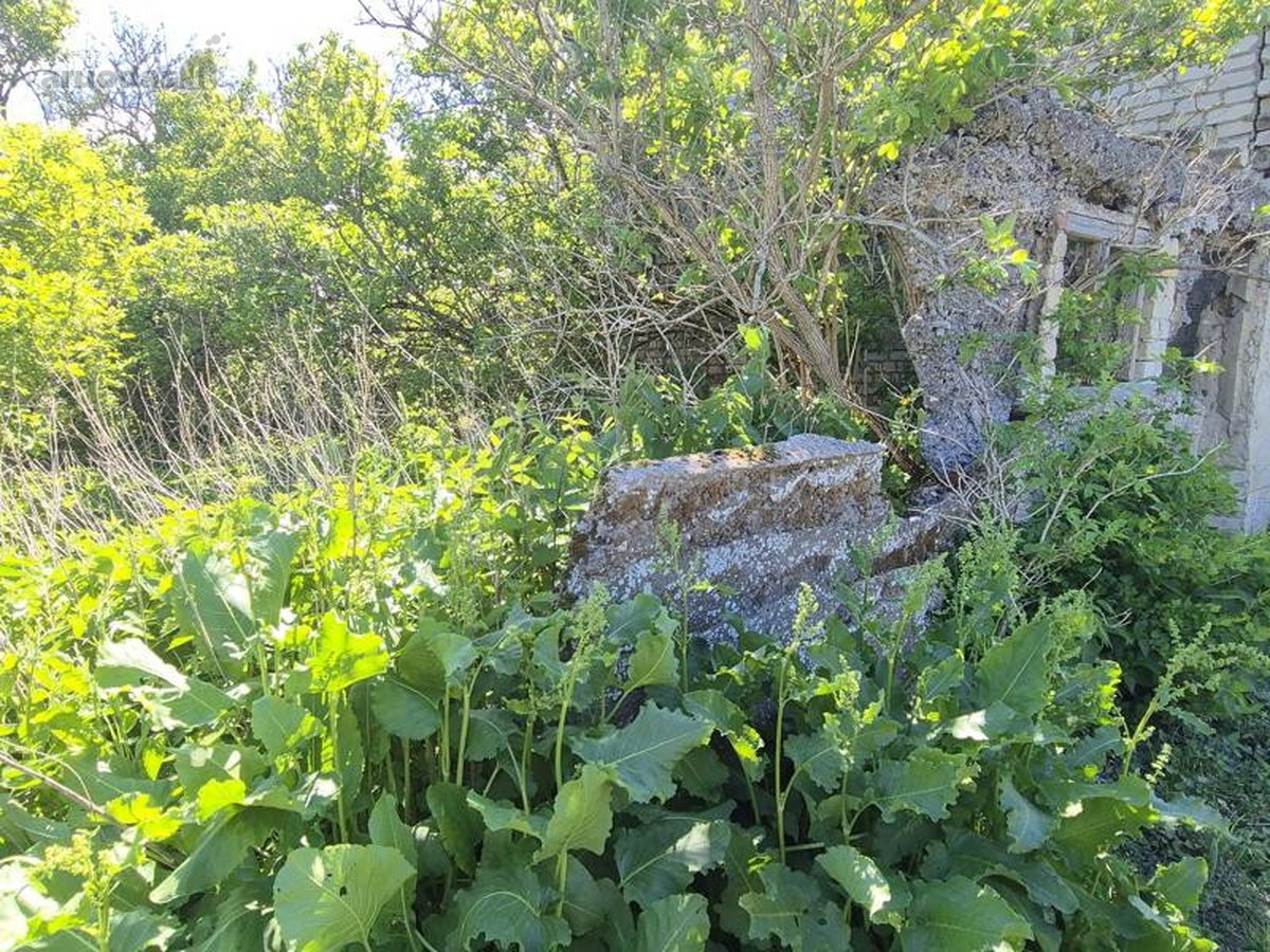 3 kambarių butas Šilutės rajone - nuotraukos Nr. 19