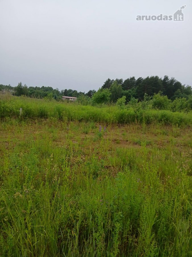 Parduodamas 22 arų žemės ūkio paskirties - nuotraukos Nr. 4