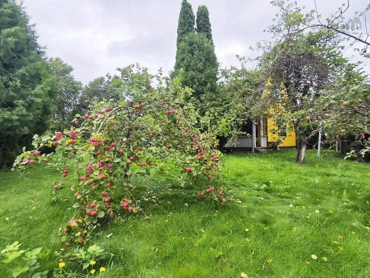 Kviečiu 18d Atvykti Į Atvirų Durų Dieną! - nuotraukos Nr. 22