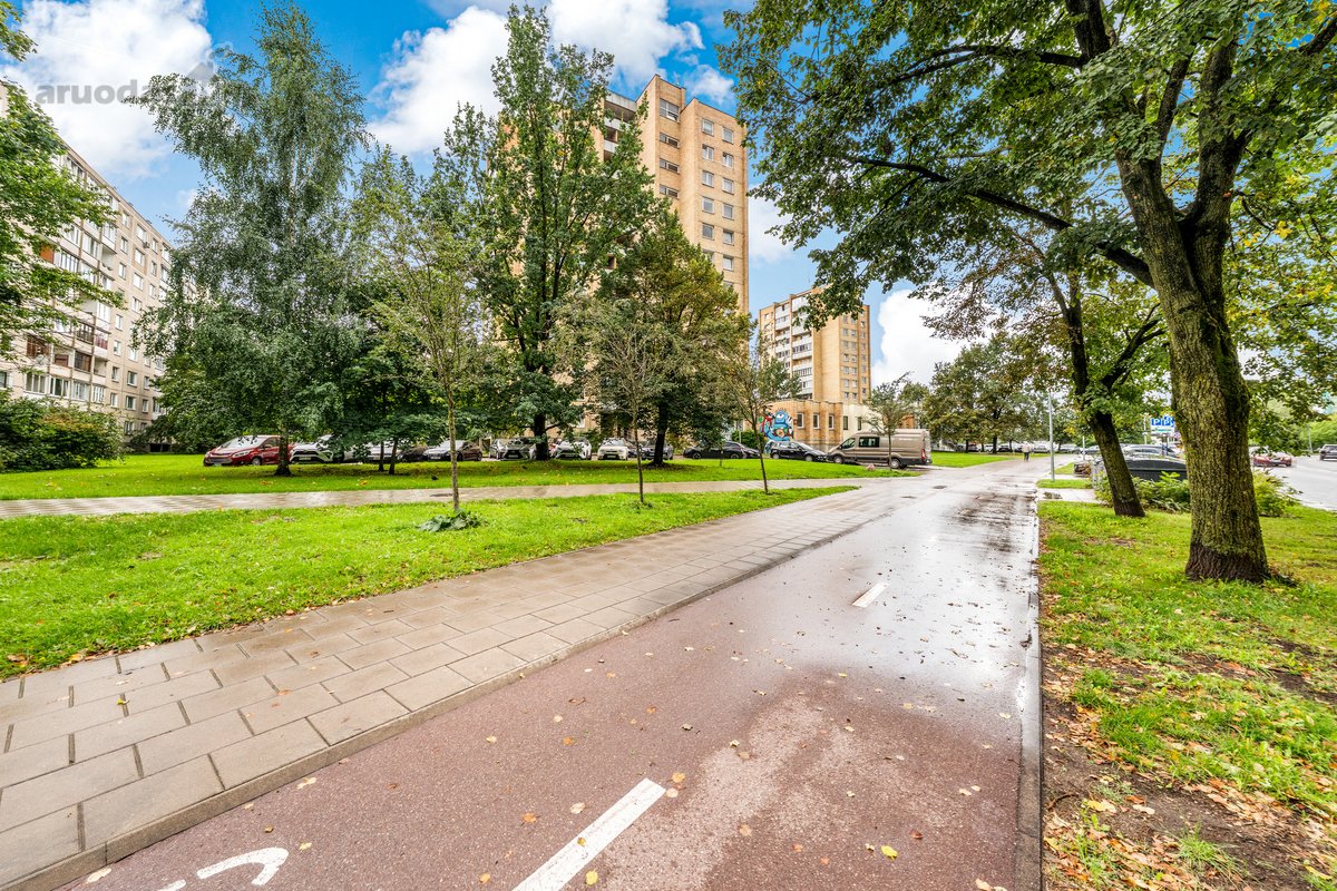 Nuomojamas Erdvus Ir Šviesus 1 Kambario Butas - nuotraukos Nr. 18