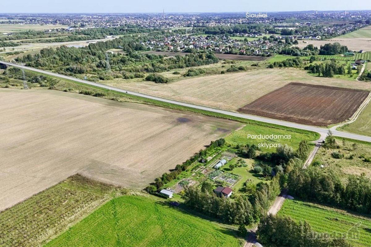 Parduodamas erdvus 81,62 arų sklypas Toliočių - nuotraukos Nr. 2