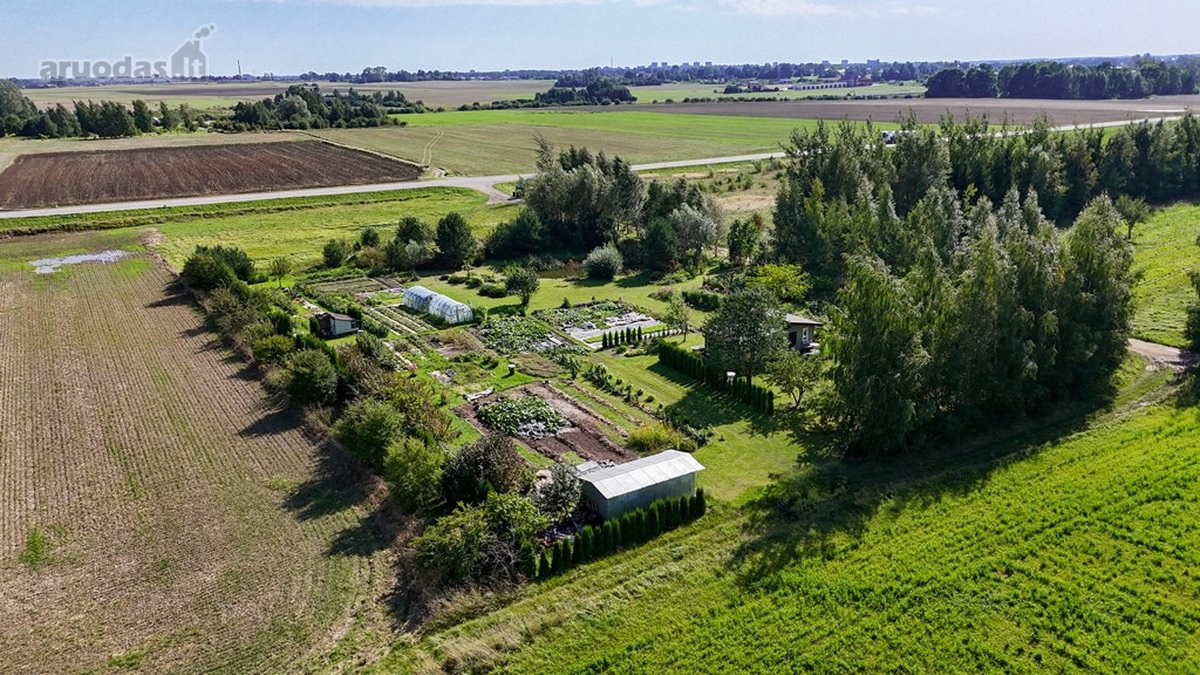 Parduodamas erdvus 81,62 arų sklypas Toliočių - nuotraukos Nr. 3