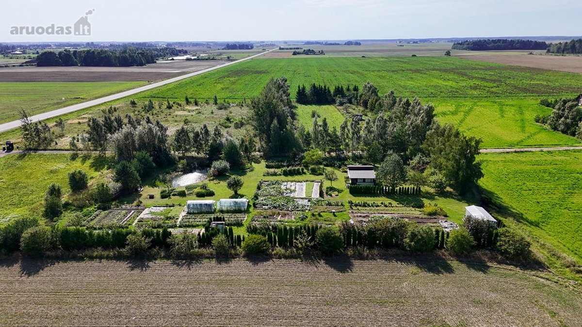 Parduodamas erdvus 81,62 arų sklypas Toliočių - nuotraukos Nr. 4