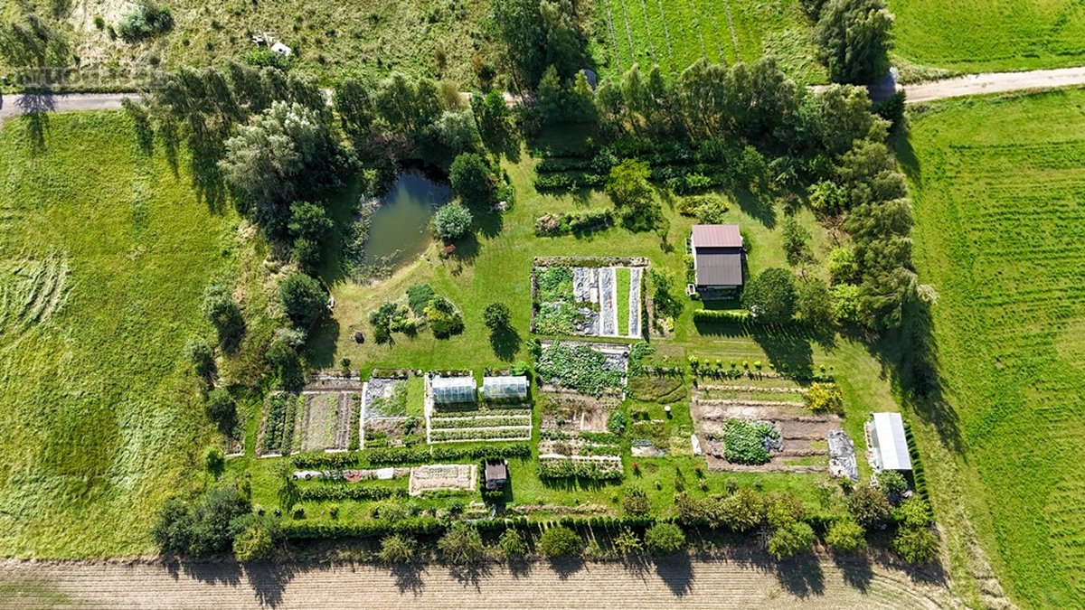 Parduodamas erdvus 81,62 arų sklypas Toliočių - nuotraukos Nr. 5