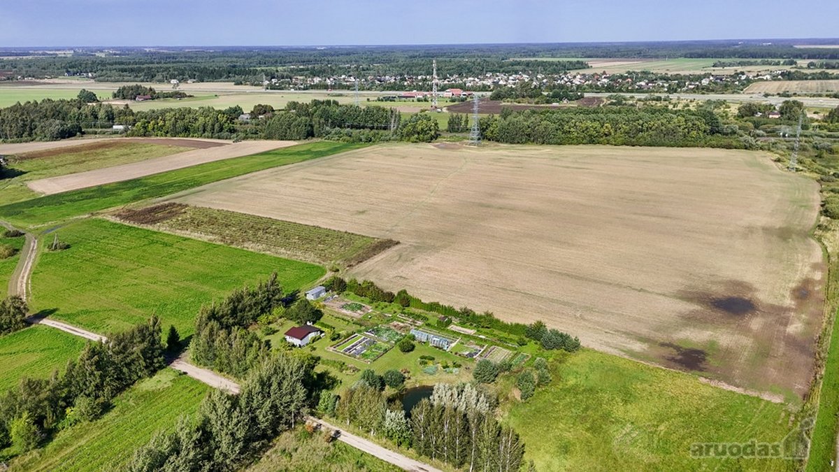 Parduodamas erdvus 81,62 arų sklypas Toliočių - nuotraukos Nr. 6