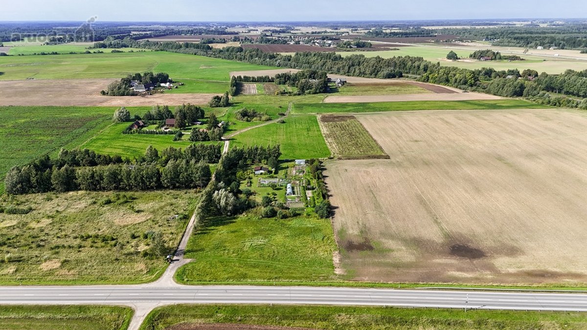 Parduodamas erdvus 81,62 arų sklypas Toliočių - nuotraukos Nr. 7