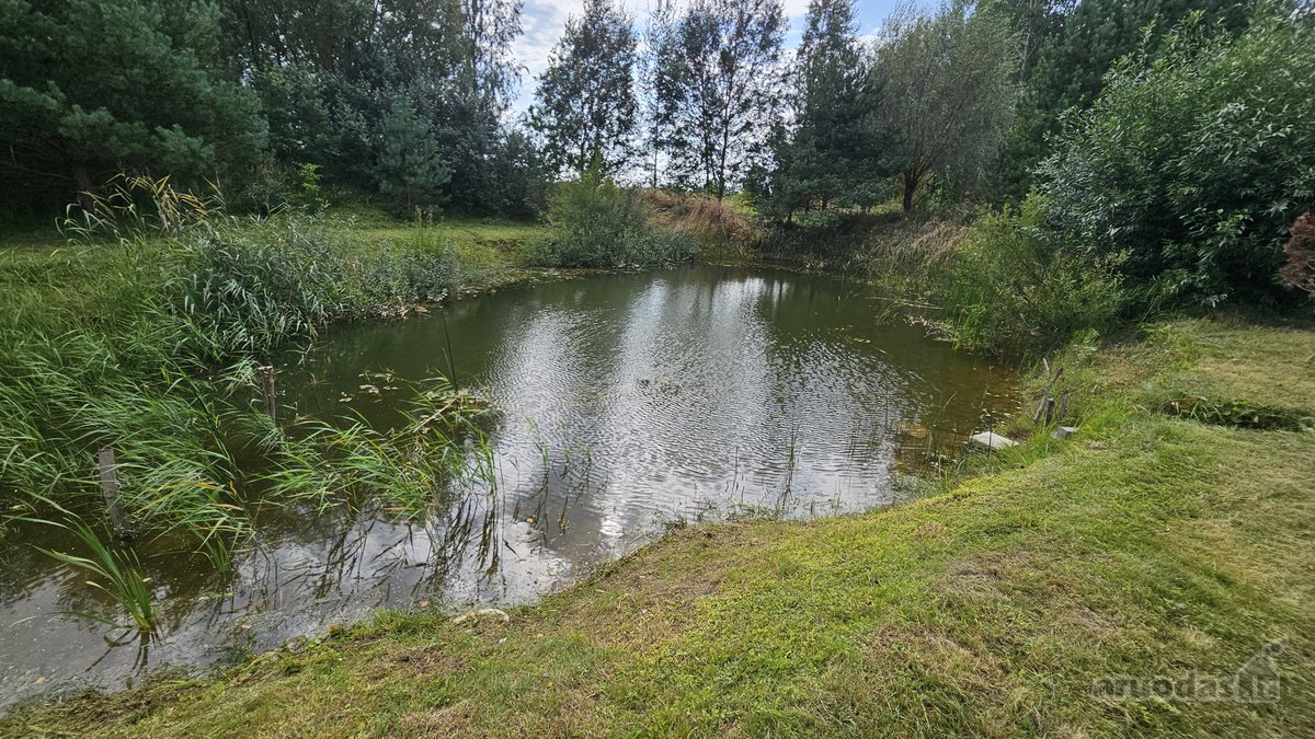 Parduodamas erdvus 81,62 arų sklypas Toliočių - nuotraukos Nr. 11