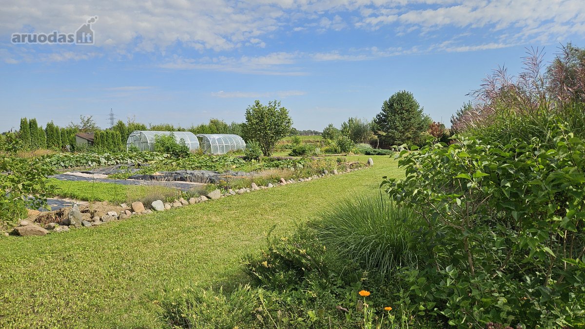 Parduodamas erdvus 81,62 arų sklypas Toliočių - nuotraukos Nr. 12