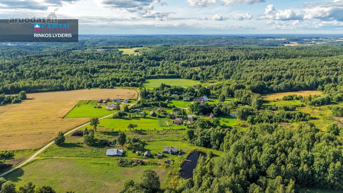 Parduodamas Sklypas Gamtos Apsuptyje: 98 Arų - nuotraukos Nr. 5