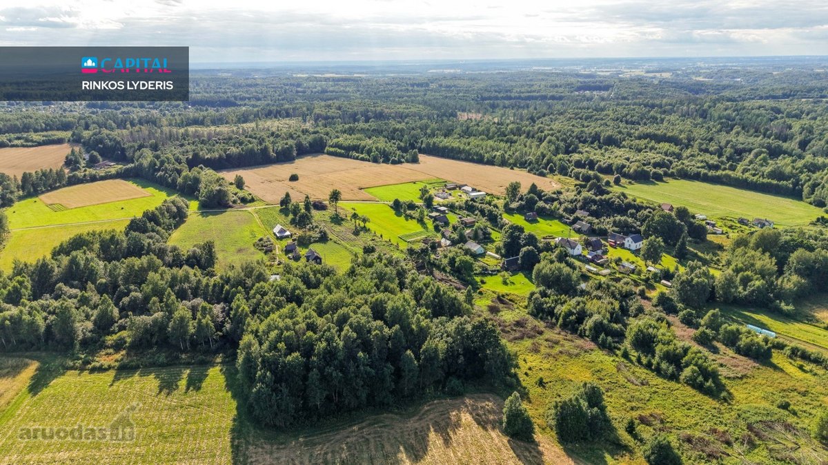 Parduodamas Sklypas Gamtos Apsuptyje: 98 Arų - nuotraukos Nr. 8