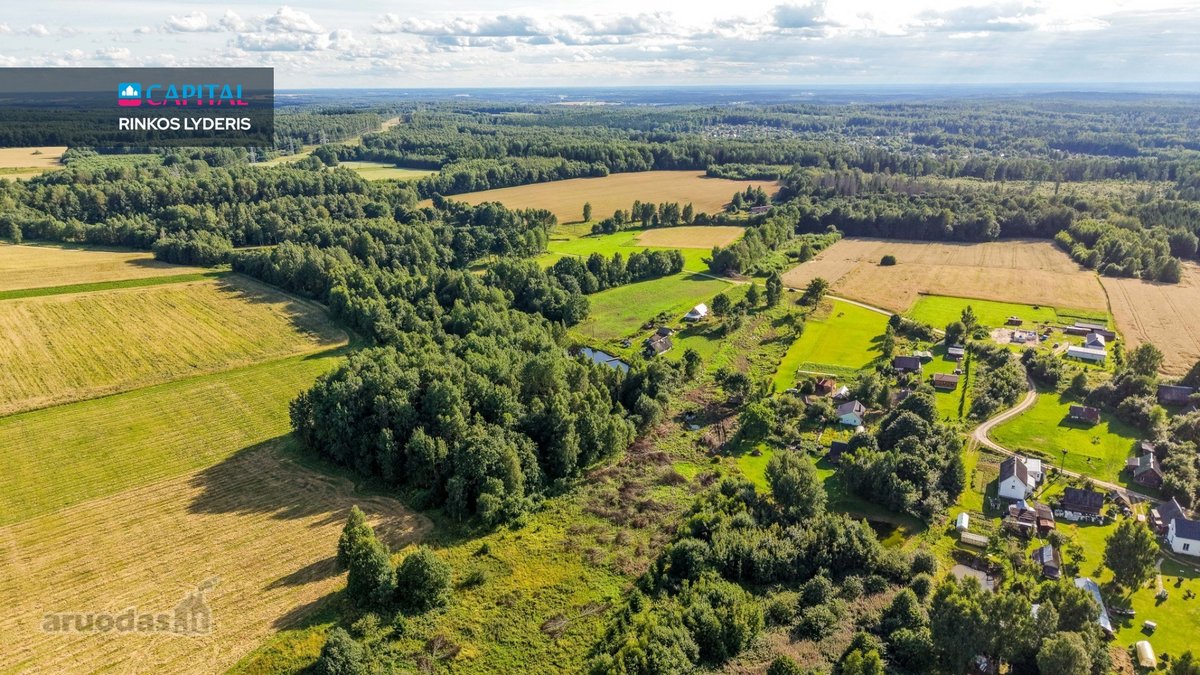 Parduodamas Sklypas Gamtos Apsuptyje: 98 Arų - nuotraukos Nr. 11