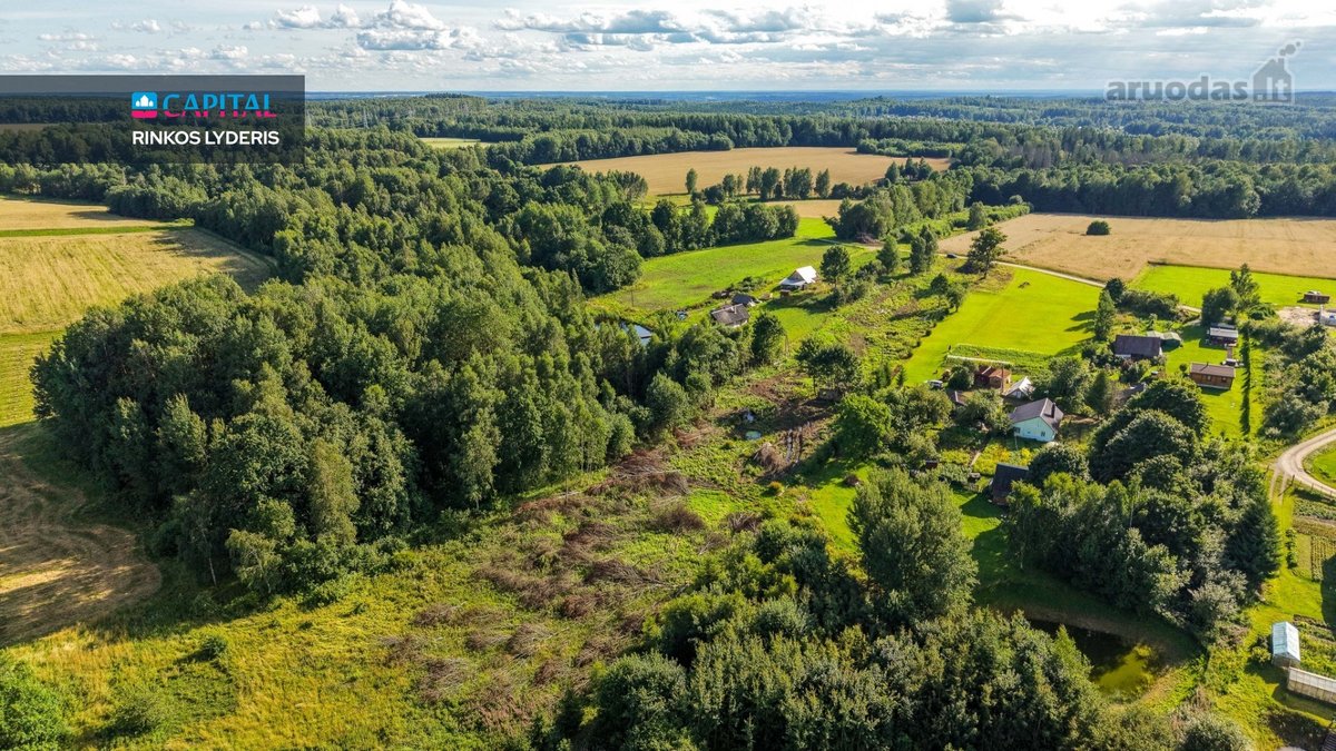 Parduodamas Sklypas Gamtos Apsuptyje: 98 Arų - nuotraukos Nr. 14