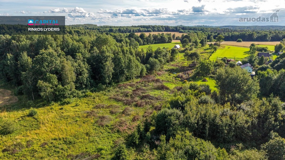 Parduodamas Sklypas Gamtos Apsuptyje: 98 Arų - nuotraukos Nr. 15