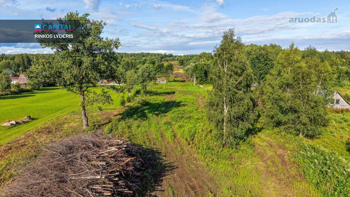 Parduodamas Sklypas Gamtos Apsuptyje: 98 Arų - nuotraukos Nr. 26