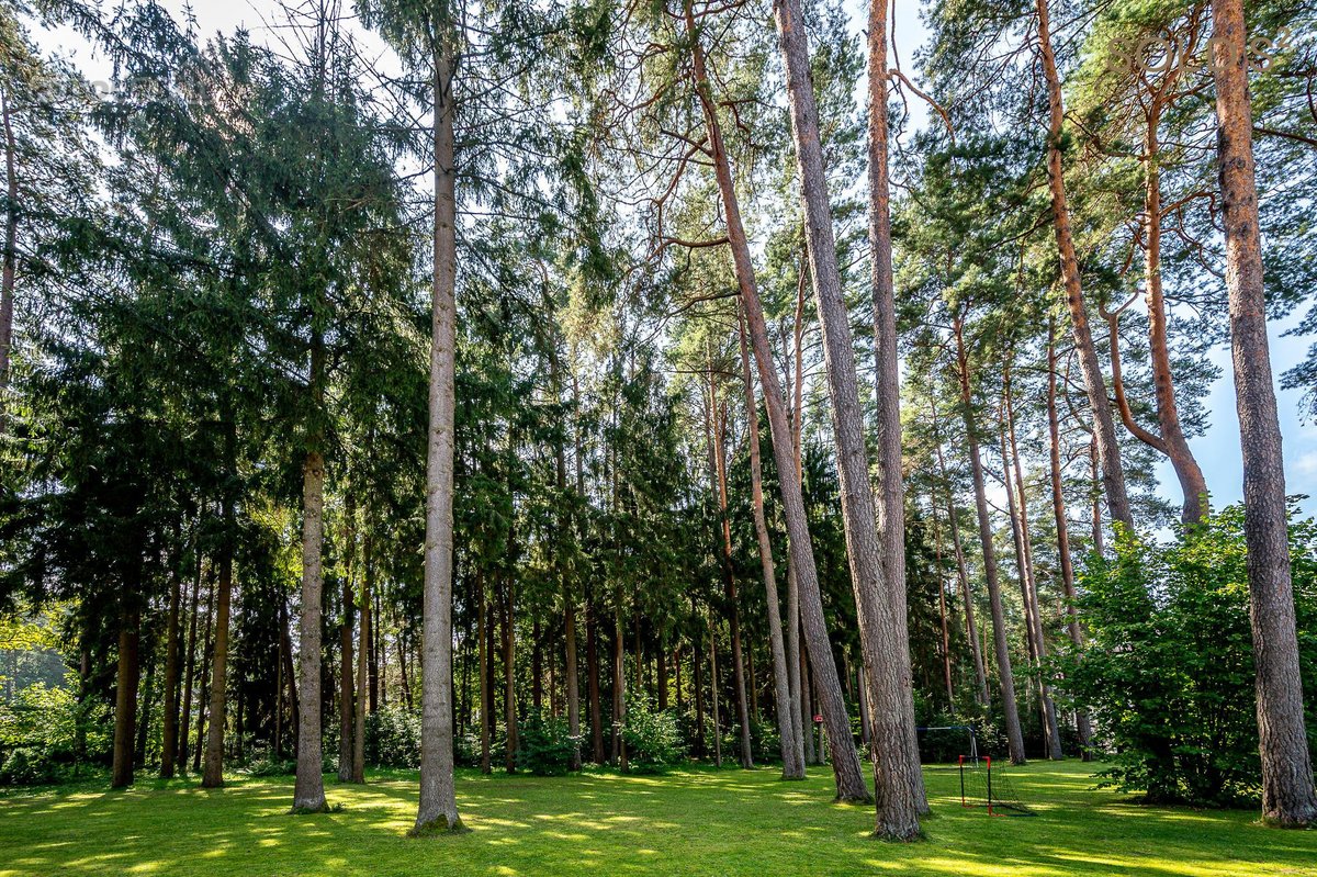 Šalia brandaus Valakampių miško įsikūręs - nuotraukos Nr. 26